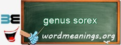 WordMeaning blackboard for genus sorex